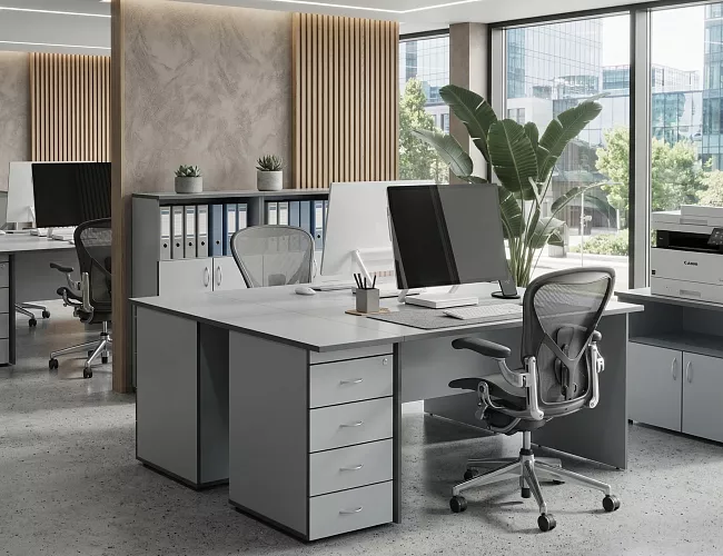 фото мебель Агат Серый