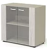 Офисный шкаф низкий  со стеклянными фасадами