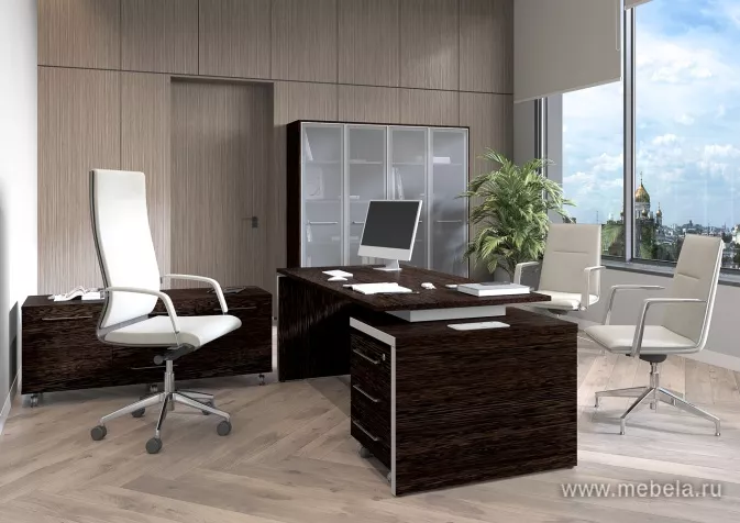 кабинет Ревентон Венге