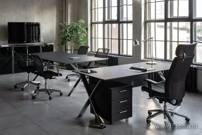 кабинет Ancona