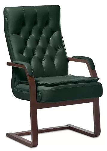 фото кресло Darwin C (с подушкой) №3