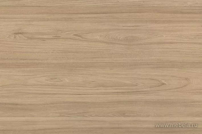 ресепшн Рио вяз