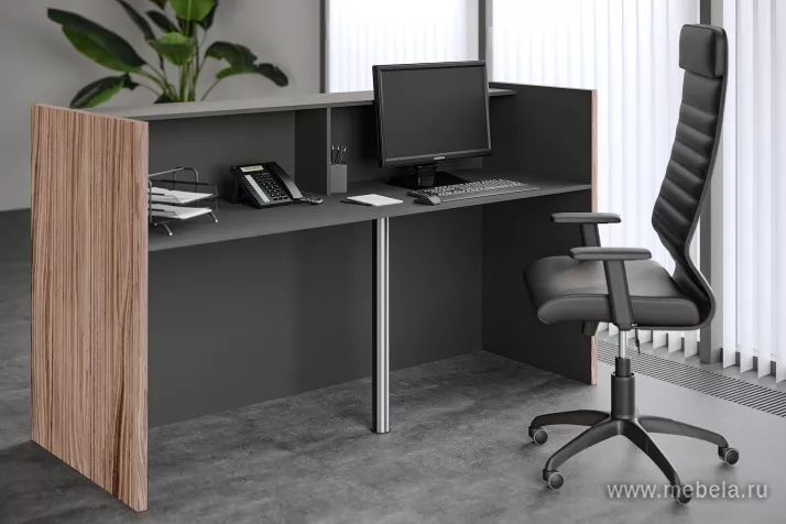 ресепшн Dali Hut