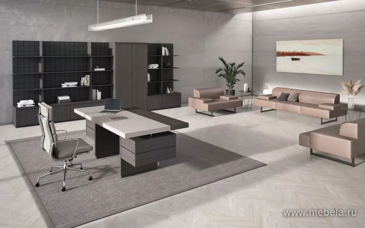 кабинет Antey