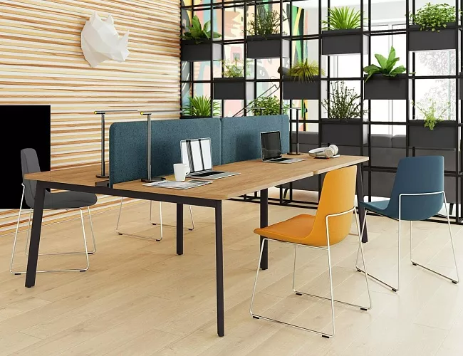 фото мебель Flex