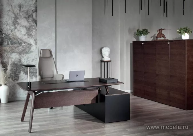 кабинет директора Рэйл