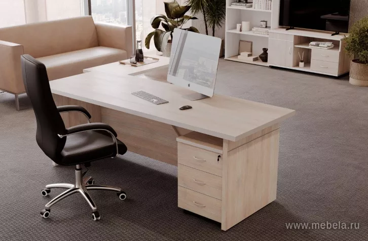 кабинет Zoom White