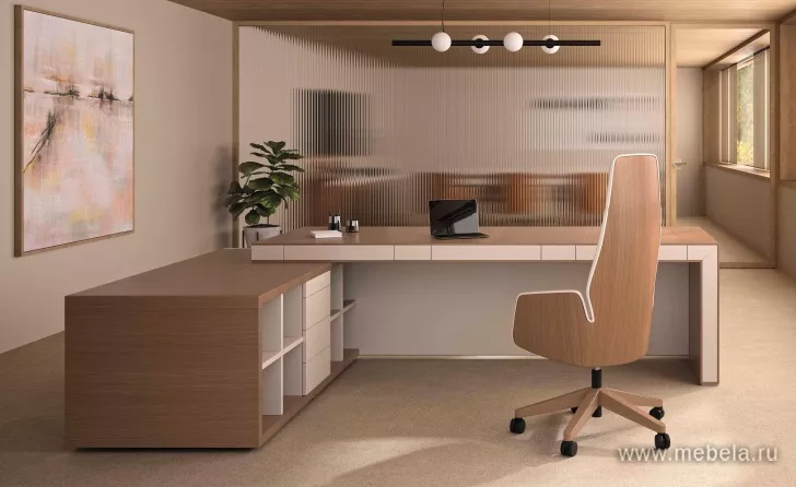 кабинет Belesa