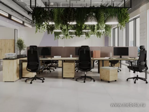 мебель Project Teckwood