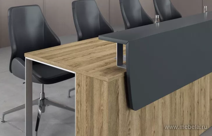 стойка ресепшн Speech