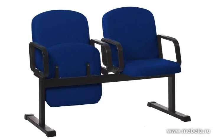 секции Камилла