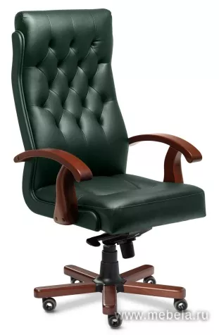 кресло Darwin A