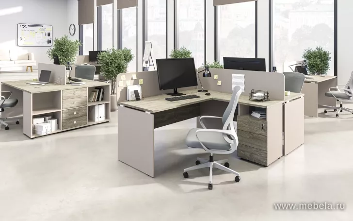 мебель для офиса Rio