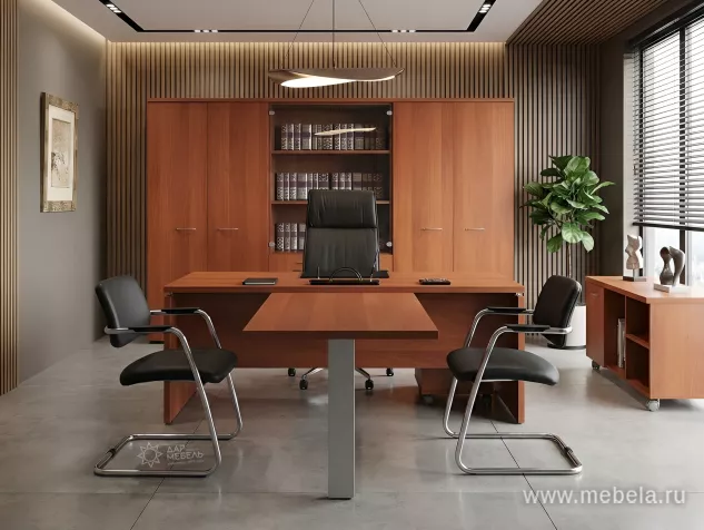 кабинет Патриот