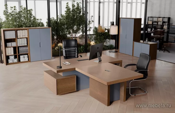 кабинет Концепт