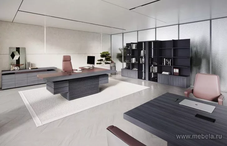 кабинет Антей Бургунди