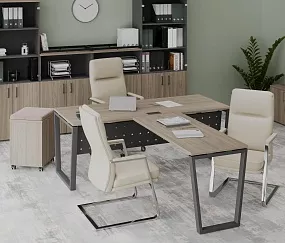 кабинет Project Elm T