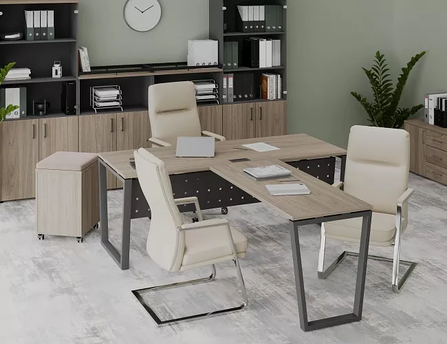 фото кабинет Project Elm T