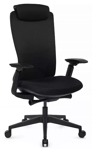 фото кресло RV-Gemini