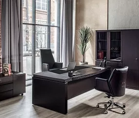 кабинет Лаго