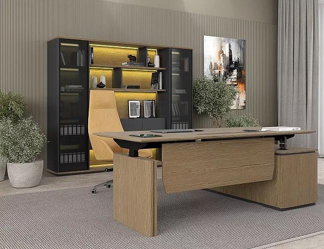 фото Кабинет руководителя Ion №5