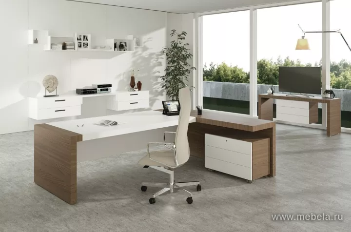 кабинет руководителя Kyo