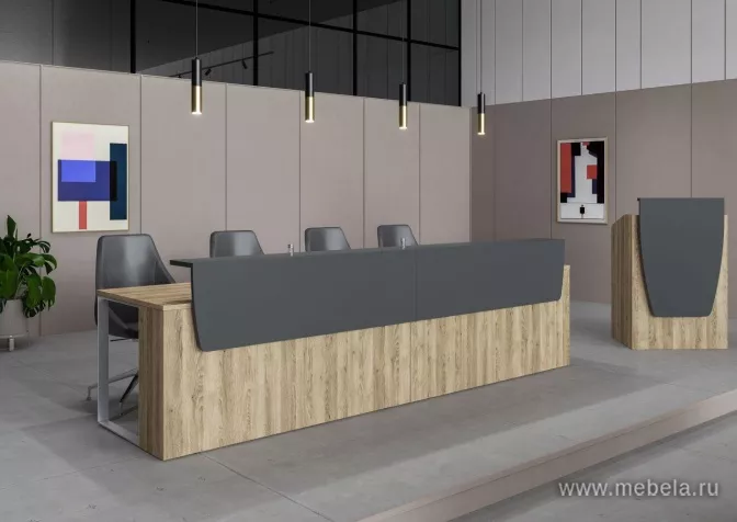 стойка ресепшн Speech