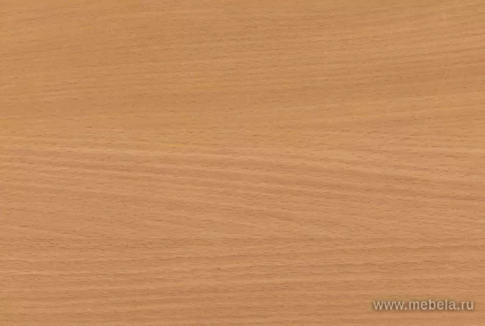 ресепшн Бонус Бук