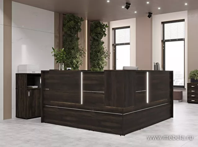 ресепшн Onix Mali