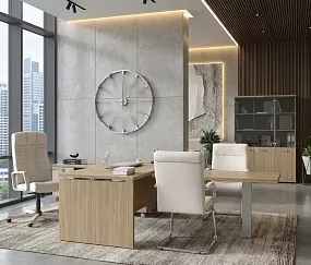 кабинет Патриот +