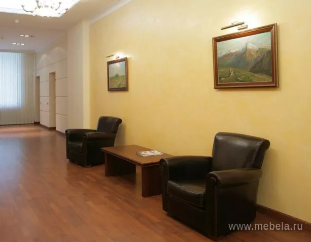 Офисный диван Sirius