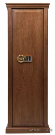 Сейф Сафари EL Д