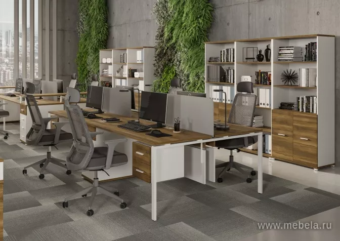 мебель Concept Light