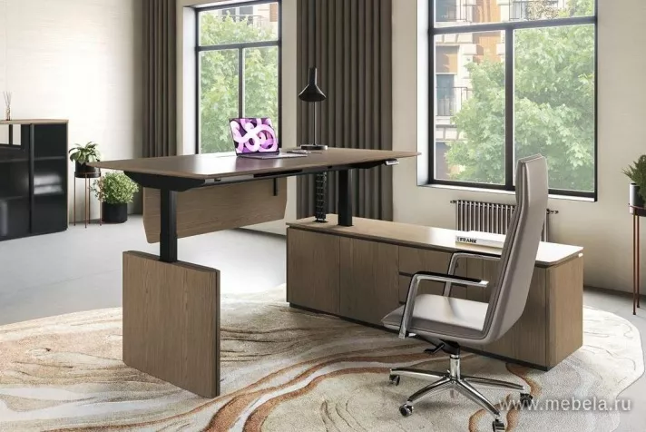 Кабинет руководителя Ion