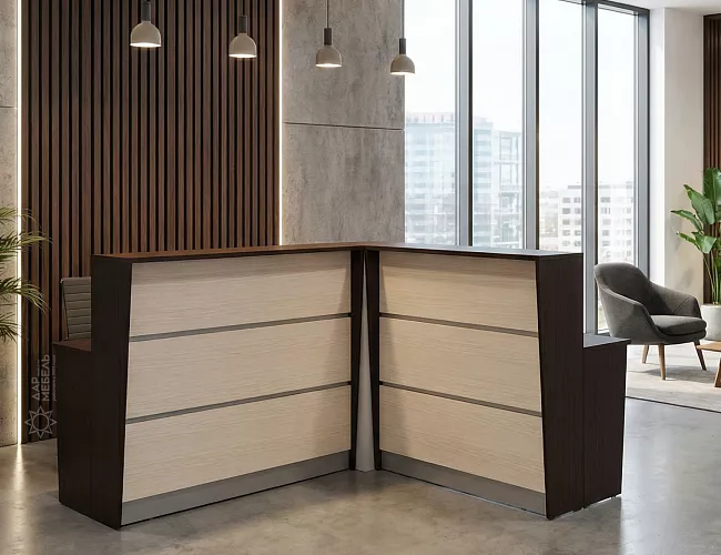 фото ресепшн Rapid №2