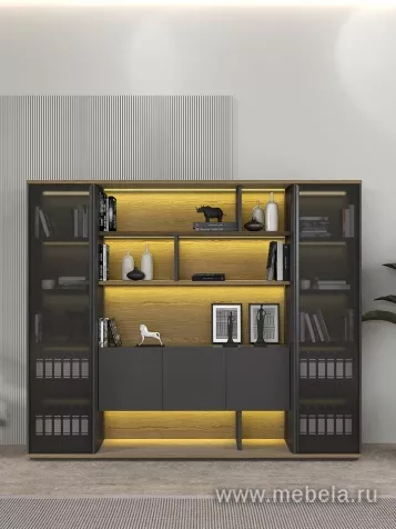 Кабинет руководителя Ион