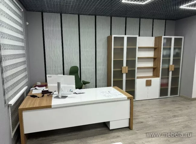 кабинет Kyu DM +