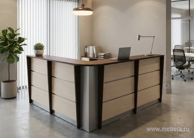 ресепшн Rapid