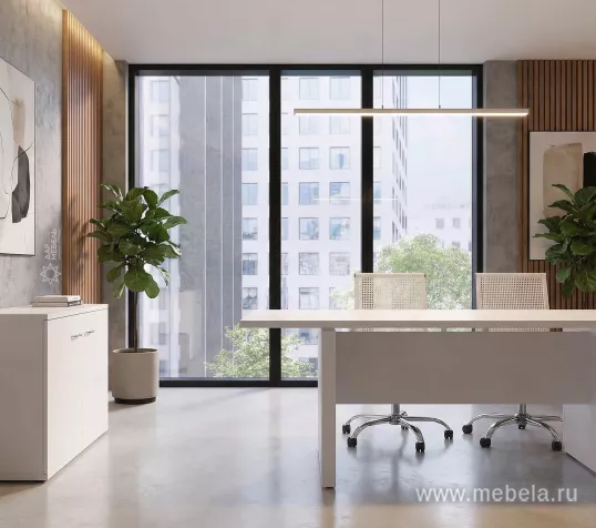 кабинет Steel Evo White