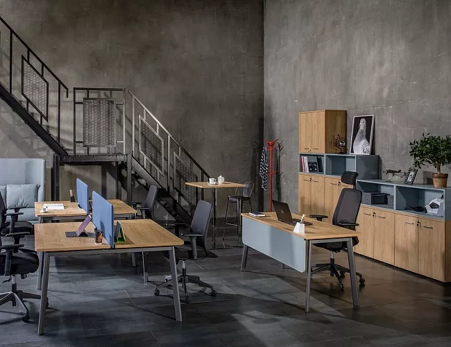 фото мебель Flex №4