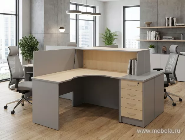 Офисная мебель Рива +