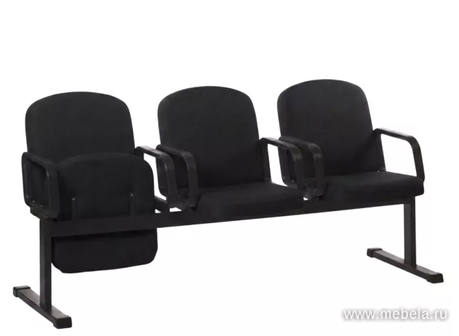 секции Камилла