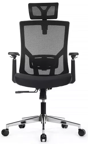 фото кресло RV-A2320 №2