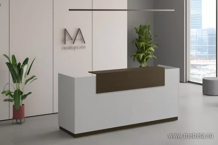 стойка ресепшн A4 +