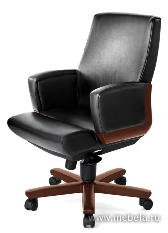 кресло Dico Wood B