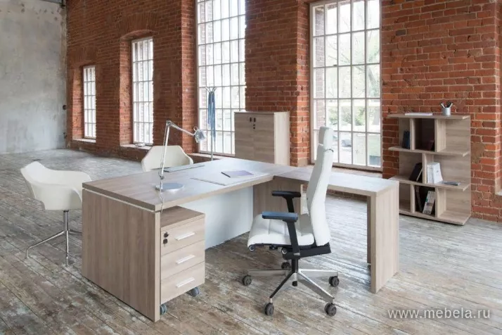 кабинет Terra Havana