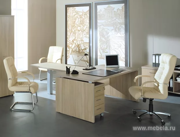 кабинет Патриот +