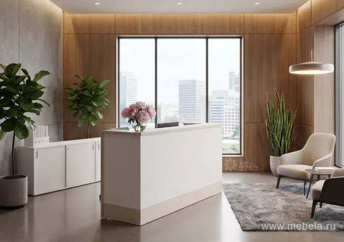 ресепшн Style Dub