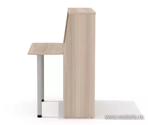 ресепшн Агат Ясень