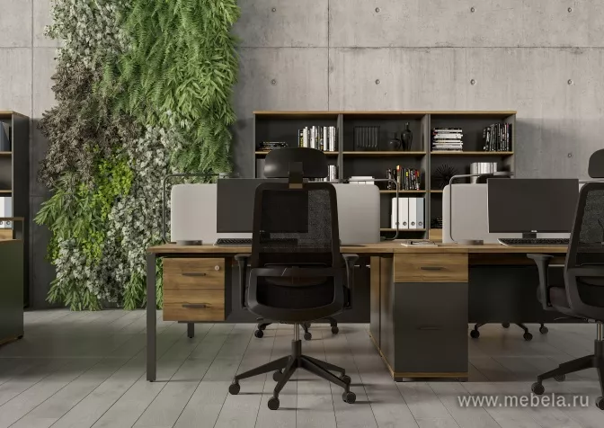 мебель Concept Light